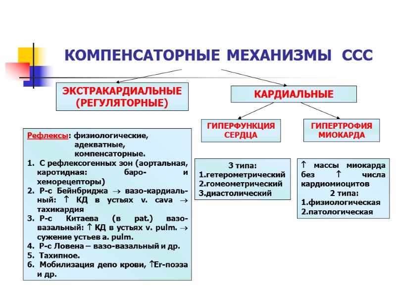 КОМПЕНСАТОРНЫЕ МЕХАНИЗМЫ  ССС